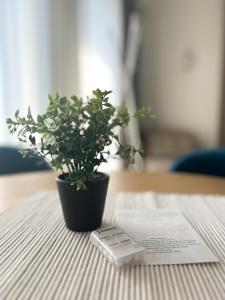 Fotografia z galérie ubytovania BUNASTA Apartments v destinácii Białystok