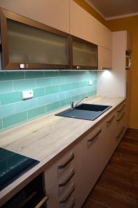uma cozinha com um lavatório e uma bancada em Penzion U Cyrila em Moravská Třebová