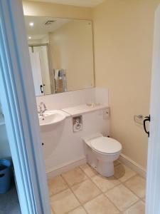 a bathroom with a toilet and a sink and a mirror at The Prince of Wales in Helston