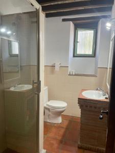 y baño con aseo, lavabo y ducha. en La casa vieja de Marchenilla, en Jimena de la Frontera