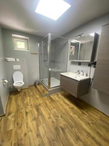 a bathroom with a toilet and a shower and a sink at Penzion Puk in Hrob