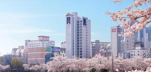 un perfil urbano con árboles akuraakura frente a los edificios en CS Hotel, en Gwangju