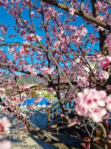 Фотография из галереи The Five Elements Hotel and SPA в Сапарева-Бане +62 фотографии