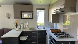 Dapur atau dapur kecil di MobilHome 2 chambres 229 dans Camping 4 étoiles