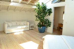 een woonkamer met een bank en een potplant bij La Locanda della Torre in Marne di Filago