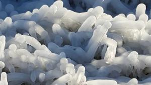 a group of white ice sculptures at Appartements Villa Drachenberg in Sassnitz