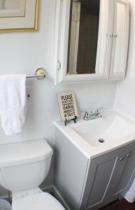 een badkamer met een toilet, een wastafel en een spiegel bij 3 BR Southside Pad - Sleeps 8 - Amazing Location in Pittsburgh