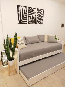 - un canapé dans un salon avec une plante dans l'établissement NUEVA CORDOBA Apartamento ILLIA, Excelente ubicación!!!, à Córdoba