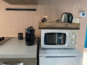 un forno a microonde seduto su un bancone in cucina di La casetta di Andreina a Sarzana