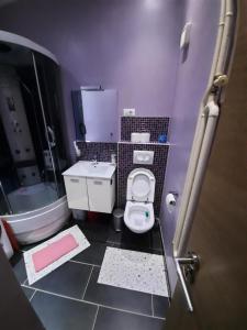 a small bathroom with a toilet and a sink at Apartment Alex in Rijeka +46 photos
