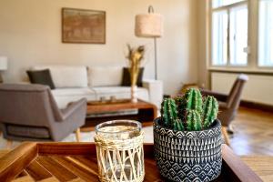 a living room with a couch and a table with a cactus at Altbau-Traum im Stadtzentrum in Graz