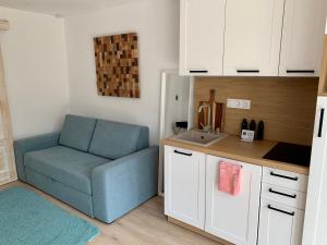 Kuchyň nebo kuchyňský kout v ubytování Nono Apartman Bükfürdő