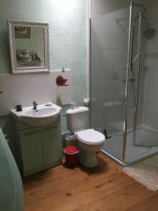 a bathroom with a shower and a toilet and a sink at chambre pour 2 personnes in Sablons