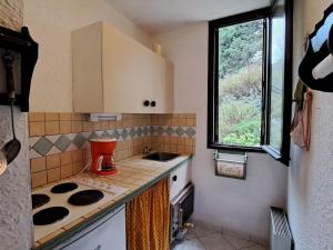 Appartement Pra-Loup, 2 pièces, 4 personnes - FR-1-165A-85 في Uvernet: مطبخ صغير مع موقد ومغسلة