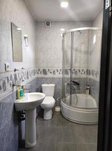 La salle de bains est pourvue de toilettes, d'un lavabo et d'une douche. dans l'établissement Friendly Guest House, à Koutaïssi