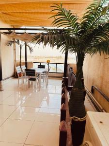 un palmier dans une pièce avec une table et des chaises dans l'établissement شاليهات ويف -Wave Resort, à Khobar