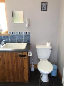 a bathroom with a white toilet and a sink at Nant-Y-Glyn in Llandrindod Wells