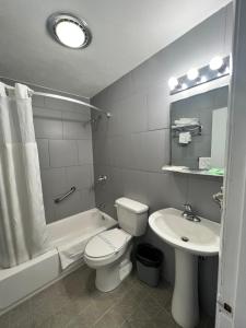 a bathroom with a sink and a toilet and a bath tub at Inn Towne Motel in Herkimer