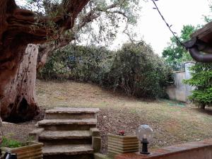 a garden with a tree and a set of stairs at I Gufetti 2 in San Savino