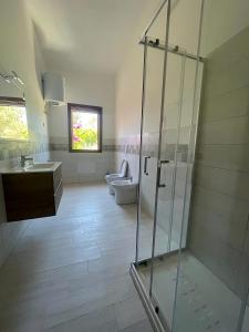 a bathroom with a shower and a sink and a toilet at Veranda Piau in Tertenìa