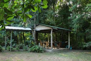 una casa en el árbol en medio del bosque en Casa a 26 kilómetros de Jaco rodeado de naturaleza, en Jacó