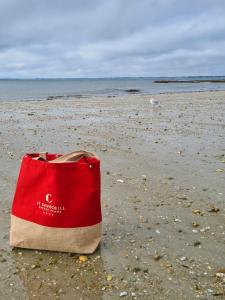 a red bag sitting on a beach near the ocean at Le Churchill Hôtel & Spa in Carnac