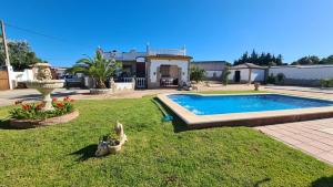 a cat sitting in the grass next to a swimming pool at El Capricho de Mamá - Chalet con piscina in Barbate