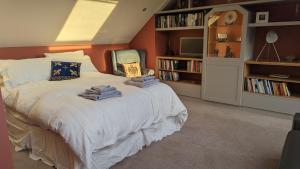 a bedroom with a bed with a tv and book shelves at Elegant Relaxed Studio in Maynooth