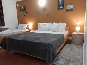 Complex Turistic Cetatea Drencova客房内的一张或多张床位