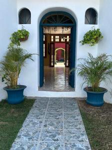 巴亞爾塔港的住宿－Villa Oasis-Studio Room，两株盆栽植物的房屋入口