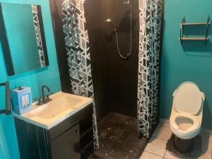 巴亞爾塔港的住宿－Villa Oasis-Studio Room，一间带水槽和卫生间的浴室