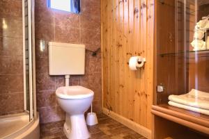 ein Badezimmer mit Toilette und Dusche in der Unterkunft Holiday home Mola in Ugljan