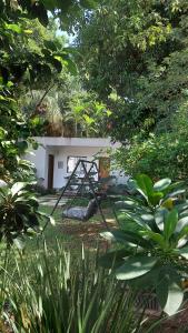 A garden outside Casa de Mia