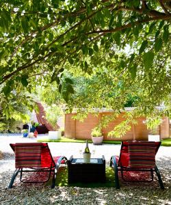 two chairs and a table under a tree at Cuevas de la Paz - Cave House Holidays in Los Carriones