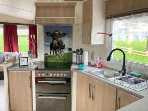 una cocina con fregadero y una estatua de vaca en la encimera en Ring Chalet, en Brücktal