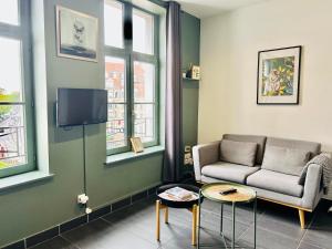 ein Wohnzimmer mit einem Sofa und einem TV in der Unterkunft Vieux-Lille - Studio haut de gamme in Lille