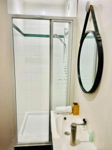 ein Bad mit einer Dusche, einem Waschbecken und einem Spiegel in der Unterkunft Vieux-Lille - Studio haut de gamme in Lille