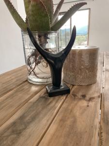 Fotografie z fotogalerie ubytování Little Karoo v destinaci Somerset East
