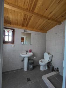 a bathroom with a toilet and a sink at Παραδοσιακό σπίτι με θέα in Tríkeri
