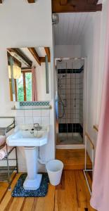 een badkamer met een wastafel en een douche bij Au fil du temps in Santenay +26 foto's