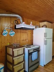 a kitchen with a stove and a refrigerator at Παραδοσιακό σπίτι με θέα in Tríkeri