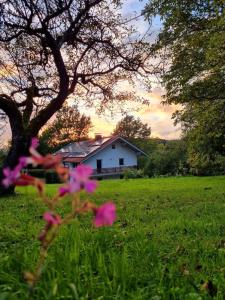 een huis in een veld met roze bloemen in het gras bij Ferienwohnung Grabner in Waging am See