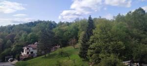 a house on a hill in the middle of a forest at Ivka in Gabrovo