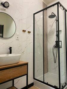 y baño con ducha y lavamanos. en Apartament/kawalerka Dąbrowskiego 22 en Katowice