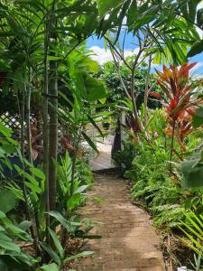 un camino a través de un jardín con muchas plantas en Villa Cocon Bleu , plage à pied !, en Sainte-Luce