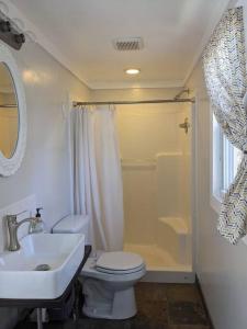 a bathroom with a sink and a toilet and a shower at Victory Garden Cottage 12 min to downtown with fire pit and in Asheville