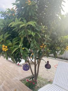 Imagine din galeria proprietății CanBey Apartları în Adrasan