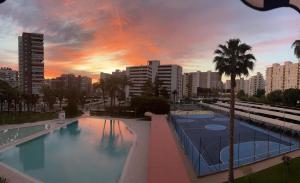 una gran piscina con una palmera en una ciudad en BEACH & URBAN PLAYA SAN JUAN, en Alicante