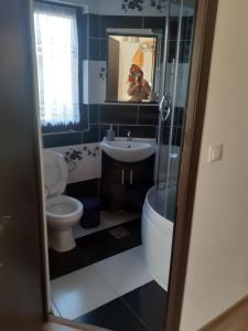 a bathroom with a toilet and a sink and a tub at Casa Bozai in Breb