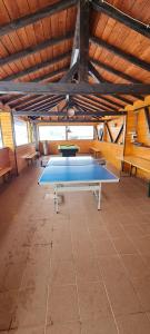 tavolo da ping pong in una stanza con soffitto di Pensiunea Rau Sadului a Rau Sadului